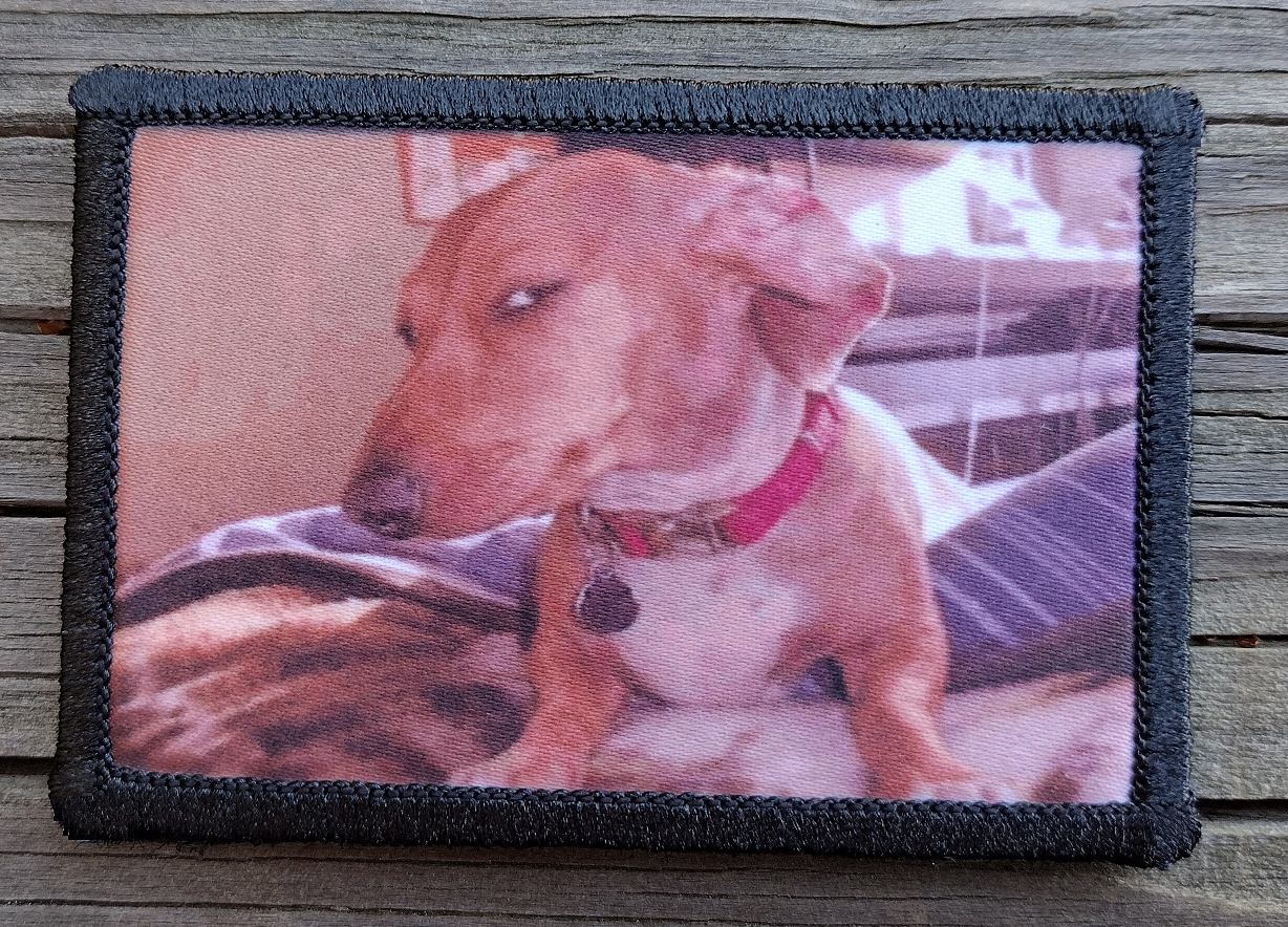 Dog Meme Morale Patch